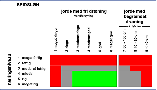 Grafisk angivelse af jordbundskrav for spidsløn.