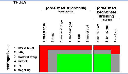 Grafisk angivelse af jordbundskrav for thuja.